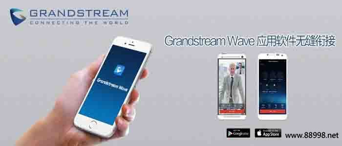 潮流網(wǎng)絡(luò) GS Wave軟電話